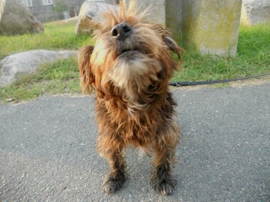 337687_248850448484717_37975620_o