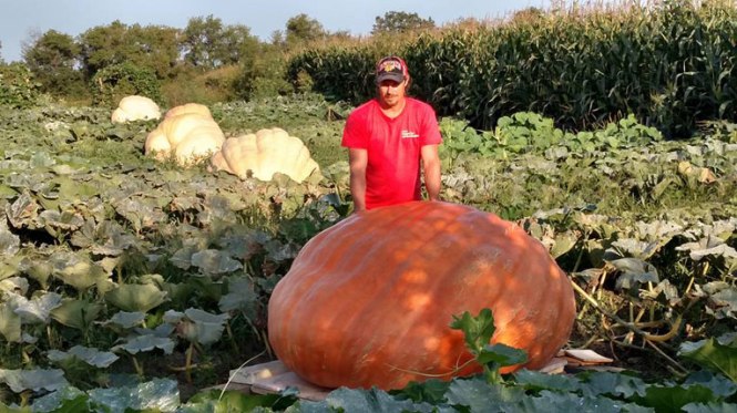 Pumpkin-Suchanek-1-(2)-(2)